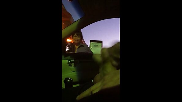 有弹性的山雀摩洛伊斯兰解放阵线被抢夺